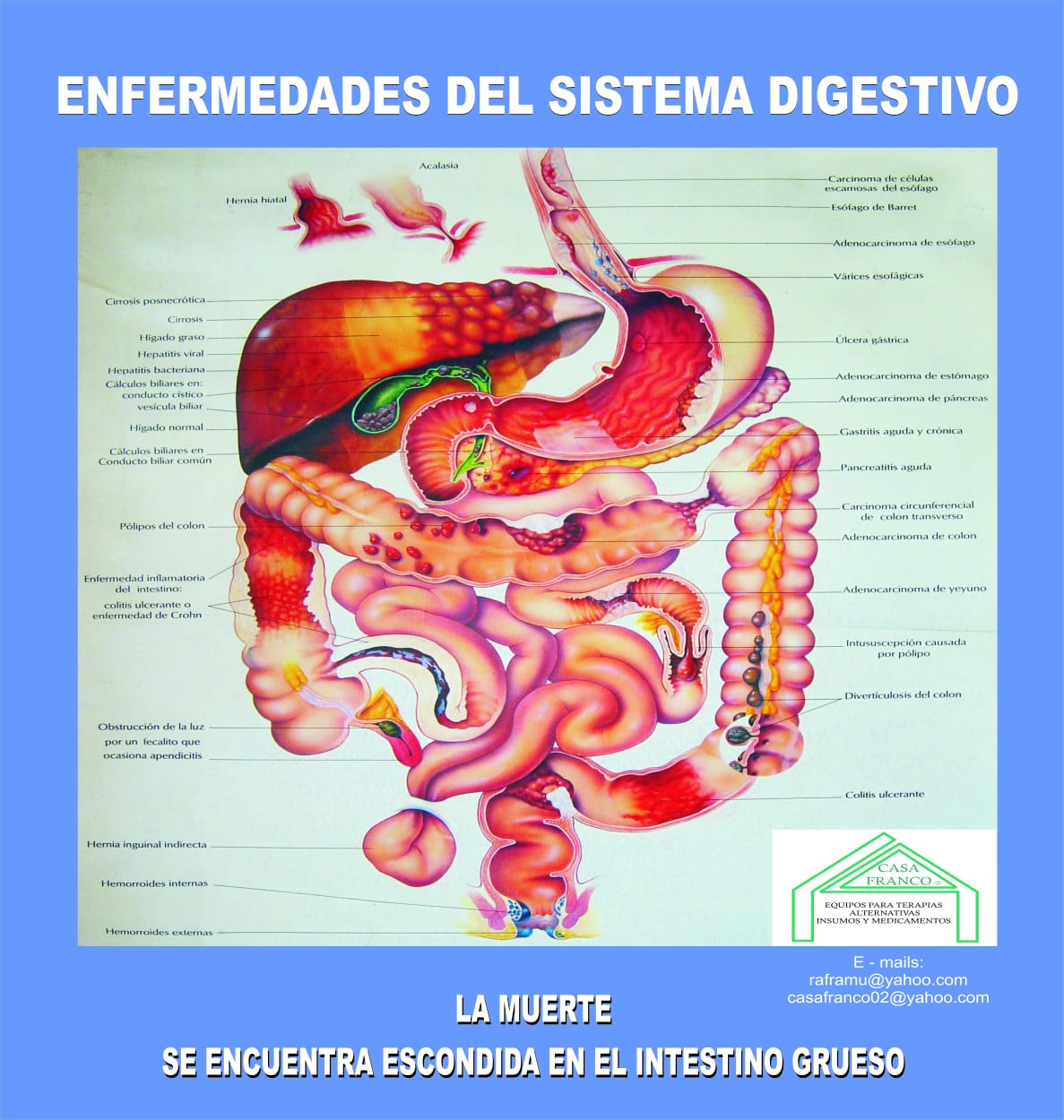 Imagenes Enfermedades Sistema Digestivo